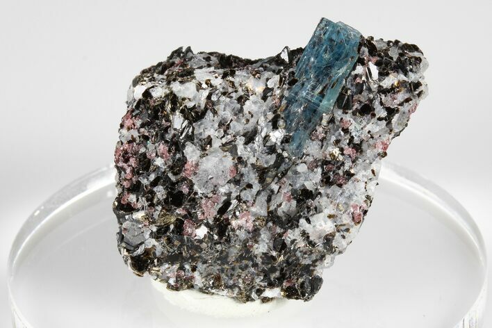 Blue Kyanite & Garnet in Biotite-Quartz Schist - Russia #178933